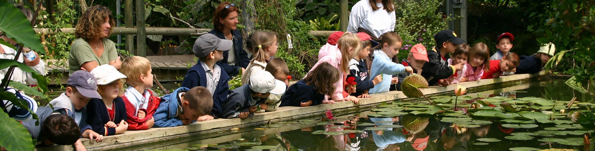 Niños : Escolares y colonias de verano